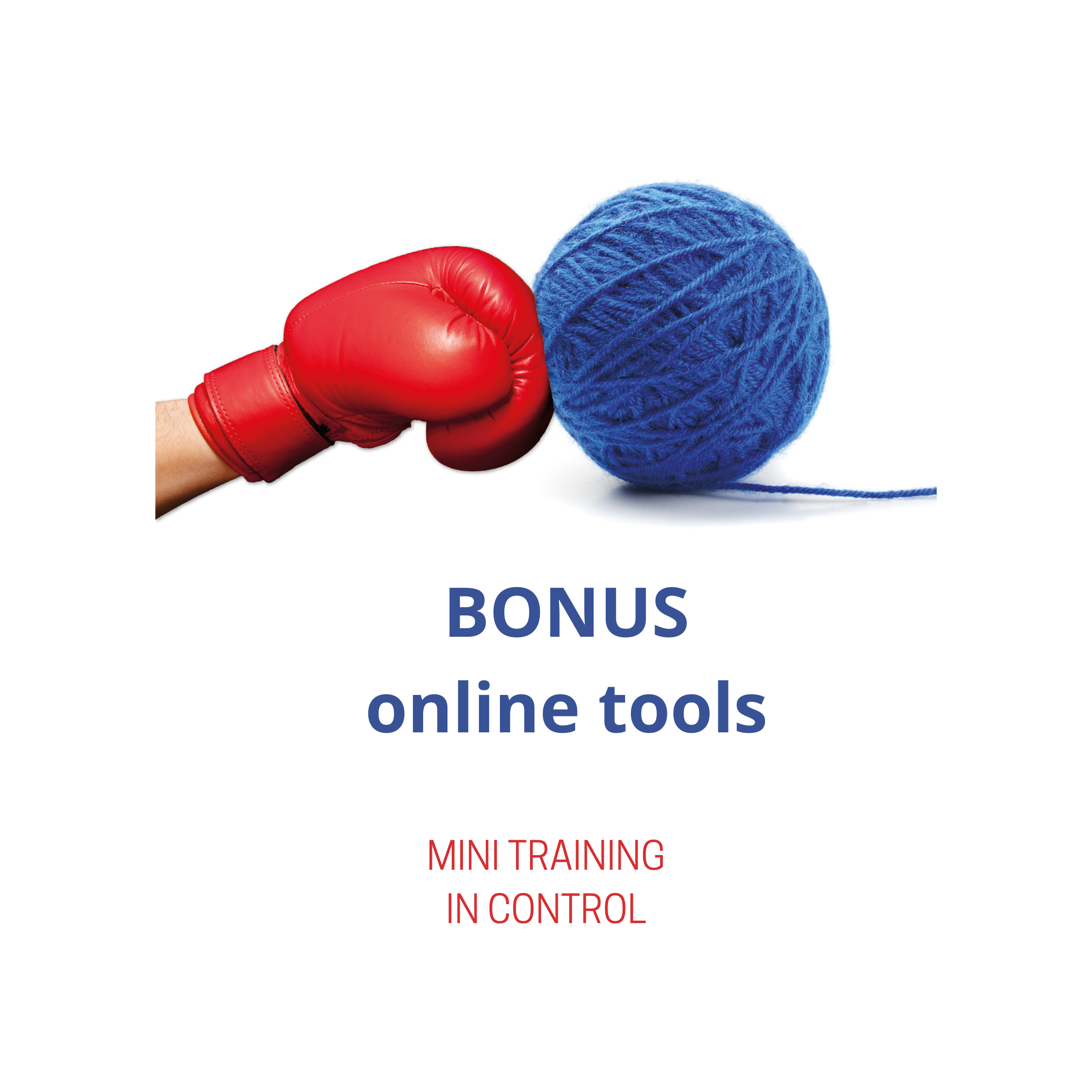Bonus Mini training In Control